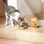Gosbi - Natsbi Cat Steamed - Piletina I Prepeličje Jaje  80 G - Slika 3