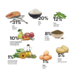 Gosbi Exclusive Fish Medium - Image 3