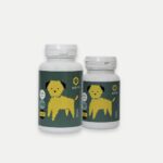 Apipet - Skin - Slika 5