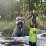 Apipet - Apitick - Natural Tick And Flea 25ml - Slika 3
