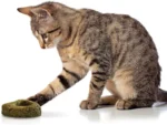 Croci - Igračka Za Mace Heart Catnip - Slika 3