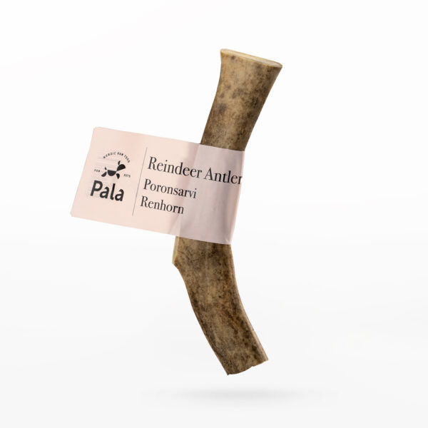 Pala Reindeer Antler - rog soba