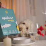 Apipet - Apifood Sensitive Losos 3kg - Slika 3