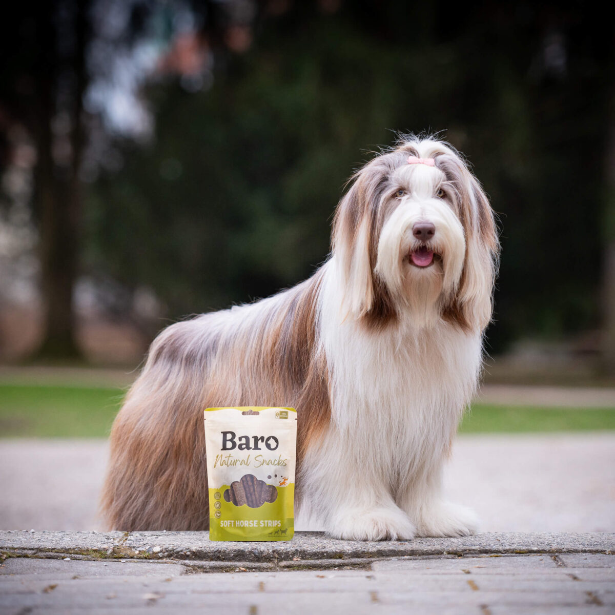 Baro - Nat Snacks Sof Strips - Horse 150G - Slika 2