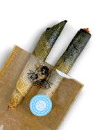 Mr.Bones - Snacks - Atlantski losos rolice - Image 2