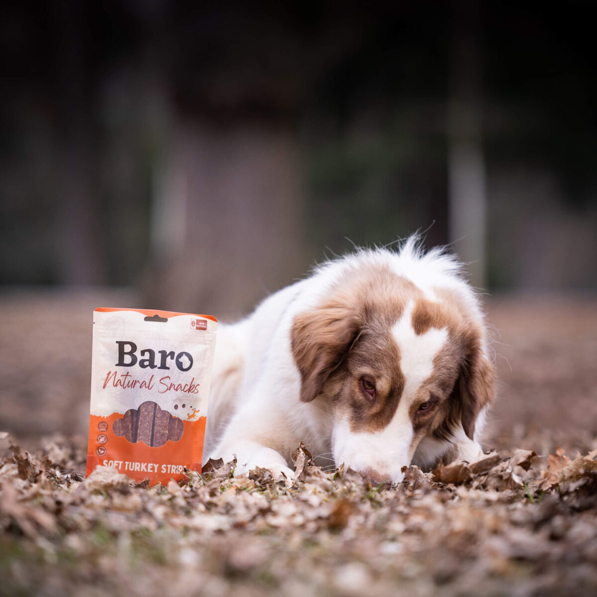 Baro - Nat Snacks Soft Strips - Turkey 150G - Slika 2