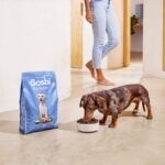 Gosbi Exclusive Fish Mini - Slika 4
