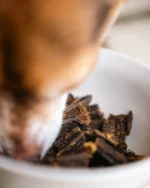 PALA Recipe #6 - Puretina, patka i haringa - Slika 3