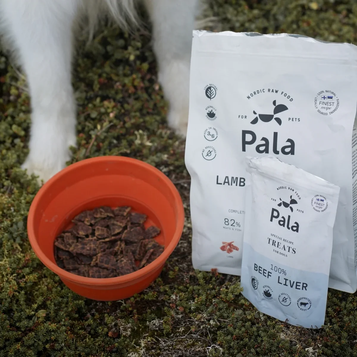PALA Recipe #7 - Janjetina i haringa - Slika 8