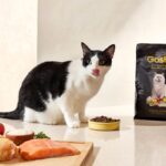 Gosbi Exclusive Grain Free Cat Adult - Piletina i riba - Slika 4