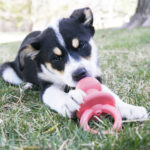 Kong Puppy Binkie M - Image 5