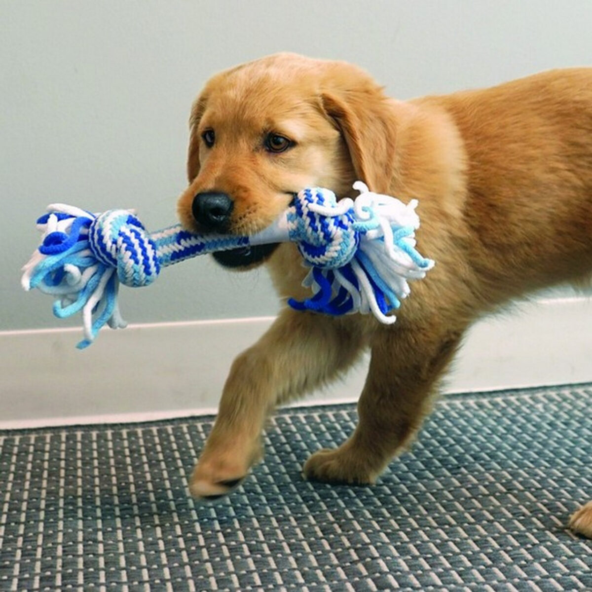 Kong Puppy Rope Stick M - Slika 4