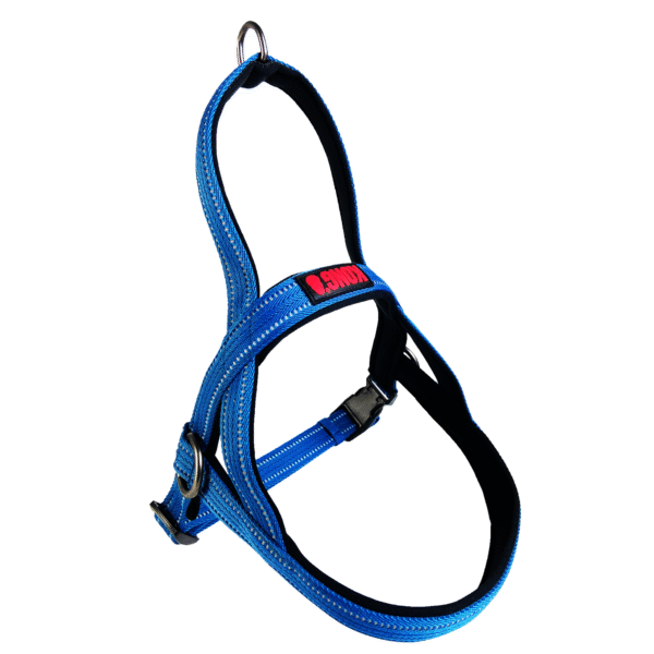 Kong Norwegian Harness Blue L