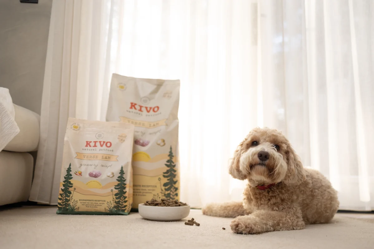 Kivo - Grain Free - Janjetina - Slika 2
