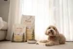 Kivo - Grain Free - Janjetina - Slika 2