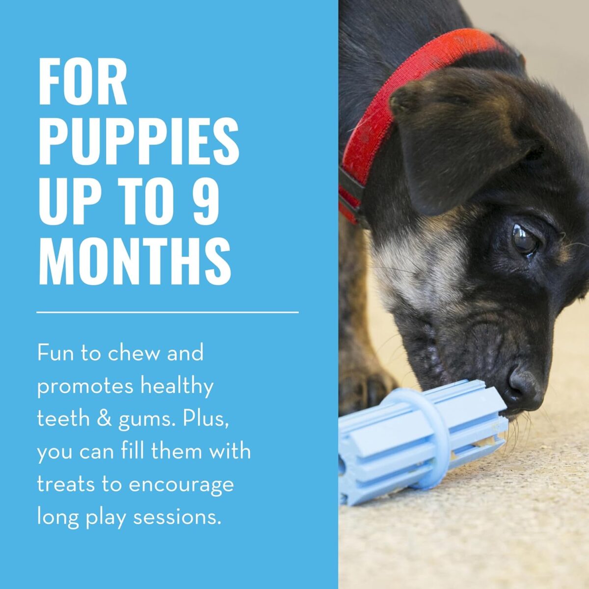 KONG - Puppy Teething Stick - igračka za pse - Slika 4