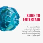 Kong Rewards Ball L - Slika 6