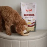 Kivo - Grain Free hrana - Patka - Slika 5