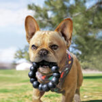 Kong Extreme Ring XL - Slika 3