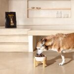 Gosbi Exclusive Grain Free Duck Medium - Slika 4