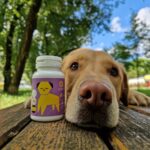 Apipet Calm 60 Kapsula - Slika 3