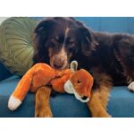 Kong Wild Ls Fox M - Slika 4
