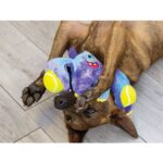 Kong Woozles Monster M - Slika 4