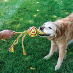 Kong Wubba Waves Rope S - Slika 3