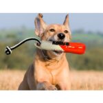 KONG - Wild Shieldz Training Dummy - igračka za pse - Slika 3