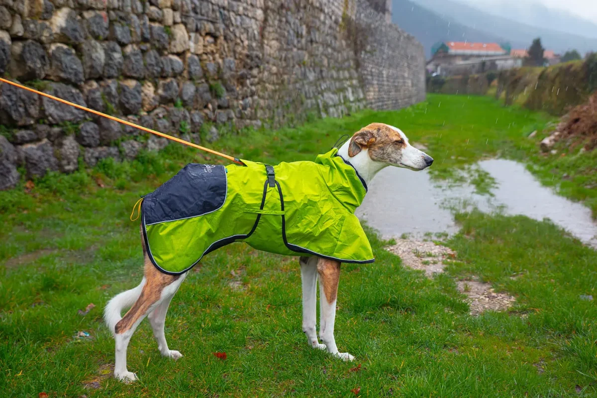 Axaeco - 4 Season Dog Coat - Kaput - Slika 8