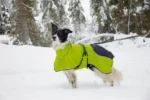 Axaeco - 4 Season Dog Coat - Kaput - Slika 10
