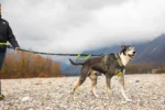 Axeco - 4 Season Jogging Leash - Slika 4