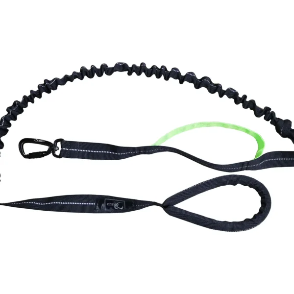 Axaeco - 4 Season Jogging Leash - Povodac