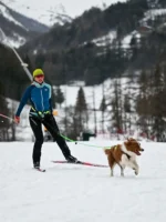 Axaeco - Bike Joring Line - Elastični povodac za Bikejoring, Skijoring i Canicross (250 cm) - Slika 6