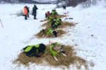 Axaeco - Ice-Olation Dog Coat - Kaputić - Slika 20