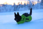 Axaeco - Ice-Olation Dog Coat - Kaputić - Slika 9