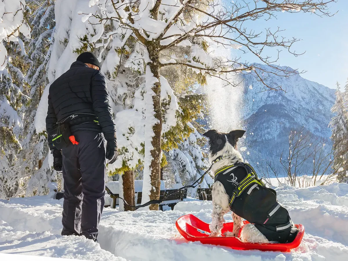 Axaeco - Pitstop Bag - Slika 9