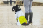 Axaeco - Raincoat Windbreaker - Kabanica Vjetrovka - Slika 4