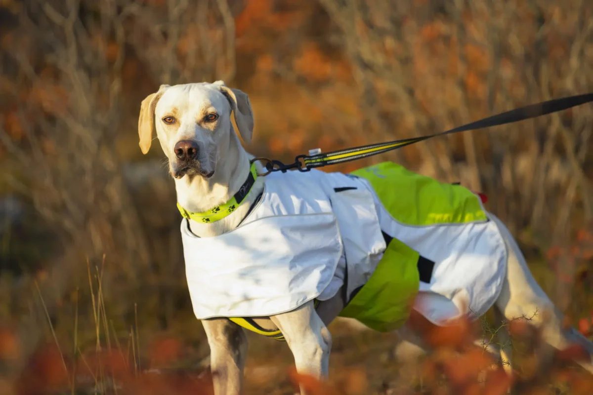 Axaeco - Raincoat Windbreaker - Kabanica Vjetrovka - Slika 9