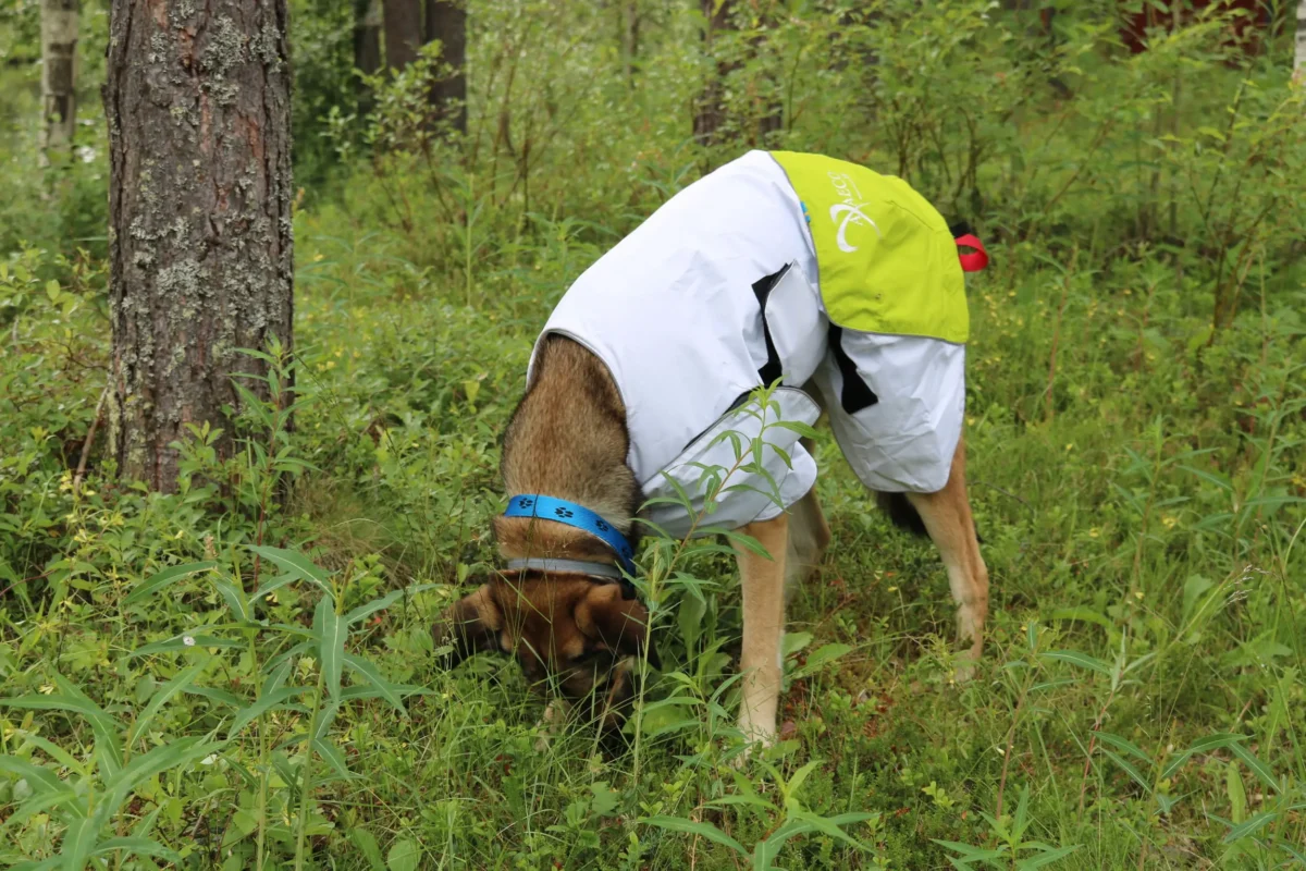 Axaeco - Raincoat Windbreaker - Kabanica Vjetrovka - Slika 8