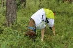 Axaeco - Raincoat Windbreaker - Kabanica Vjetrovka - Slika 8