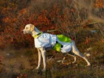 Axaeco - Raincoat Windbreaker - Kabanica Vjetrovka - Slika 6