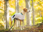 Axaeco - Raincoat Windbreaker - Kabanica Vjetrovka - Slika 7