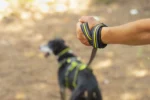 Axaeco - Thor Leash - Slika 4