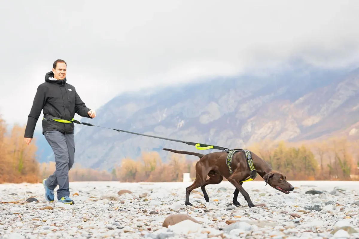 Axaeco - Trekking Belt - Image 10