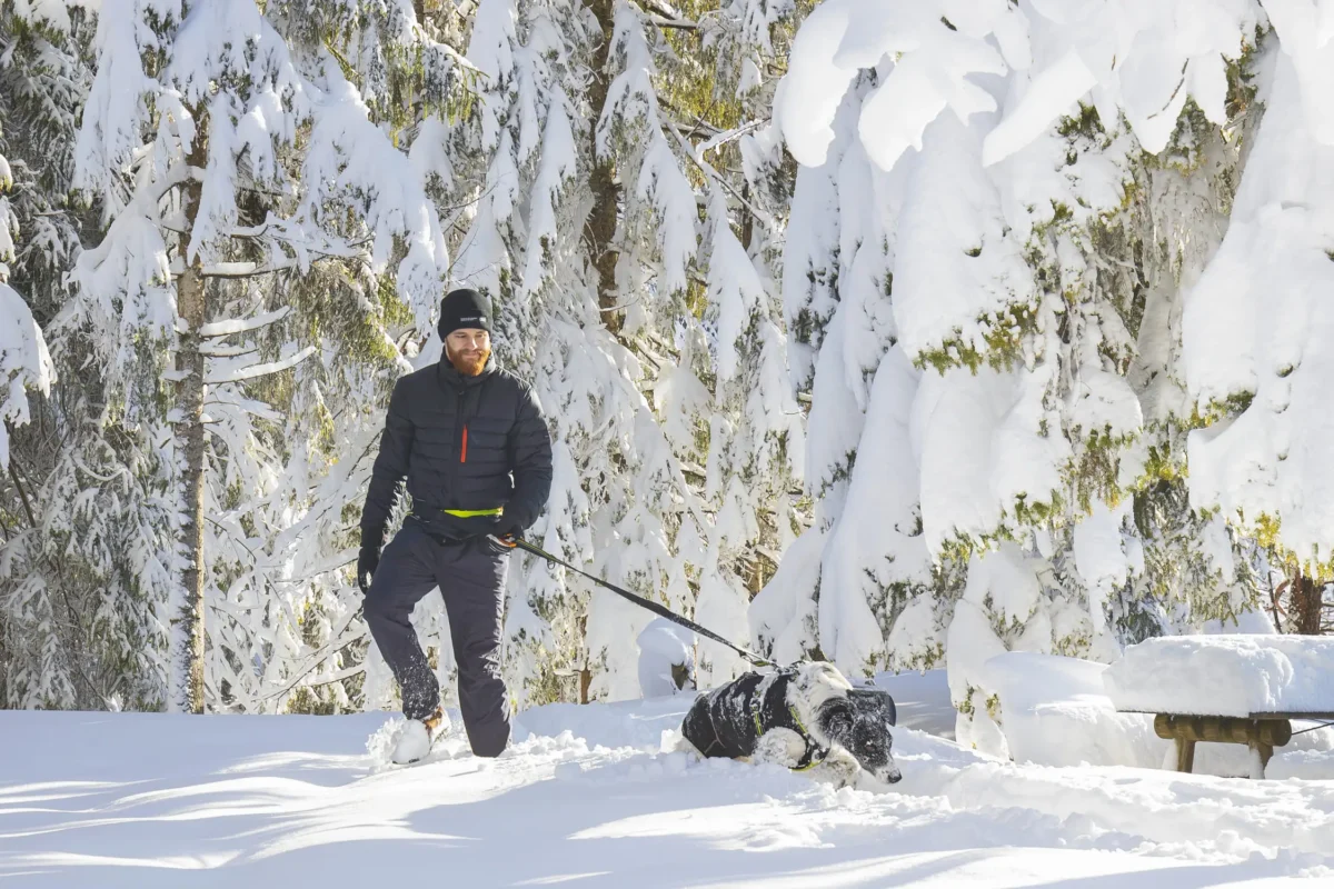 Axaeco - Trekking Belt - Image 7