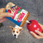 Kong Snacks Peanut Butter S - Slika 2