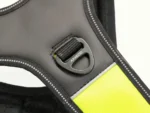 Axaeco - 4 Season Power Harness - Oprsnica - Slika 9