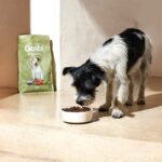 Gosbi Exclusive - Lamb Mini - Janjetina za male pasmine - Slika 3