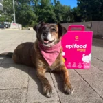 Apipet - Apifood - Vital - Puretina - Slika 2